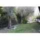 Properties for Sale_RESTORED FARMHOUSE FOR SALE IN THE MARCHE in the municipality of Magliano di Tenna in Italy in Le Marche_10
